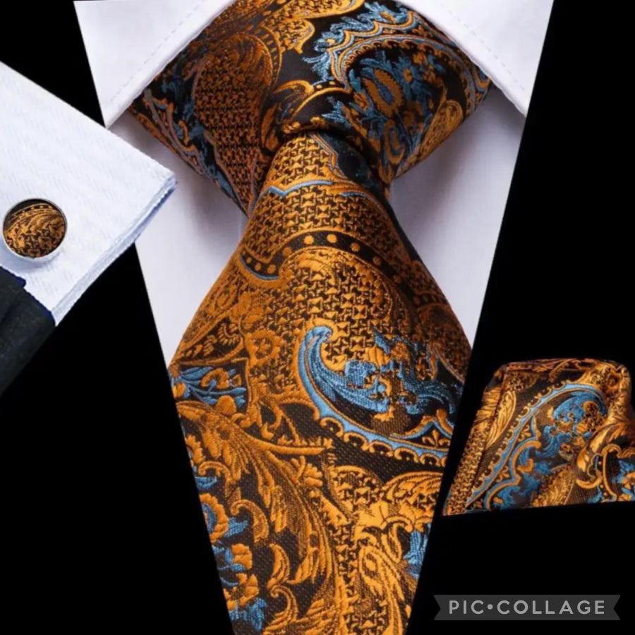 Hi-Tie Paisley Mens Silk Tie Set